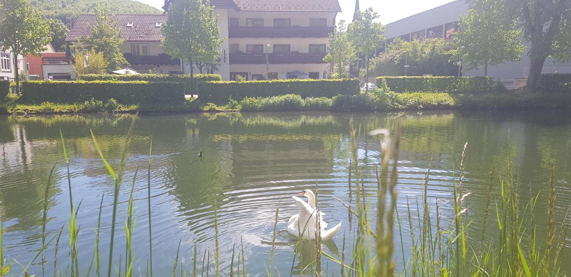Hotel Schiff Nagold Kültér fotó